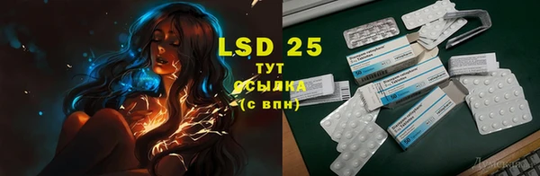 ешки Новозыбков