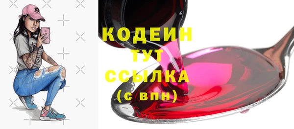 молекула духа Новодвинск