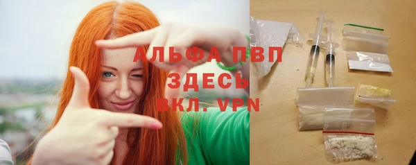 молекула духа Новодвинск