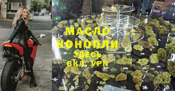 молекула духа Новодвинск
