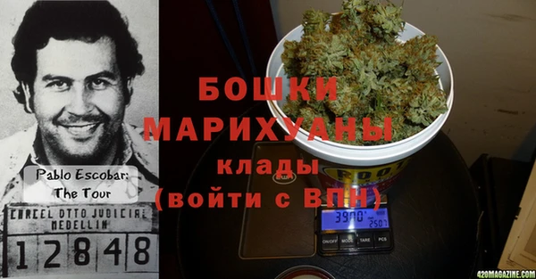 молекула духа Новодвинск