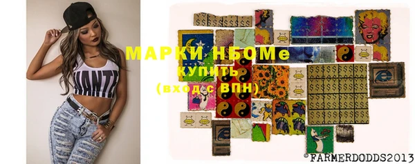 ешки Новозыбков