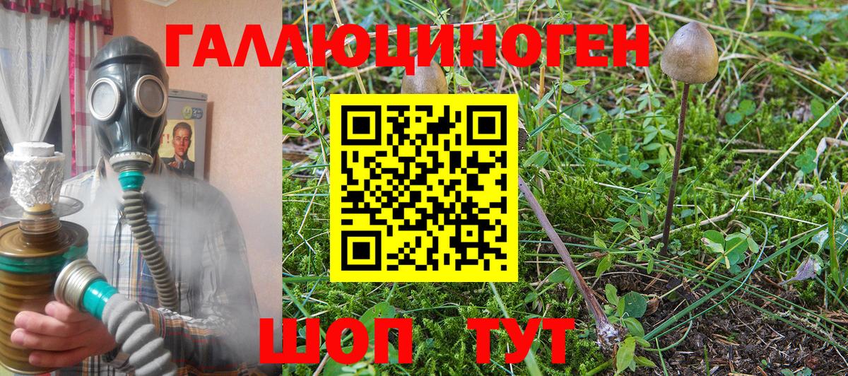 Галлюциногенные грибы Magic Shrooms Сердобск