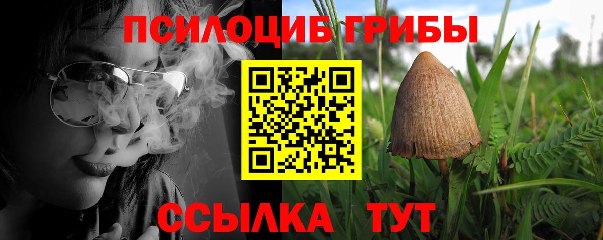 Сердобск  Псилоцибиновые грибы Psilocybine cubensis  Вход с VPN 